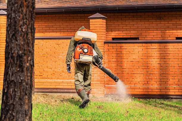 Bed Bug Clearance Verification and Documentation in Eagle Mountain